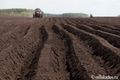 Омские аграрии, не заплатившие налоги, получат бюджетную поддержку