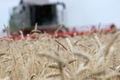 Министр сельского хозяйства призвал омских аграриев не торопиться с продажей зерна