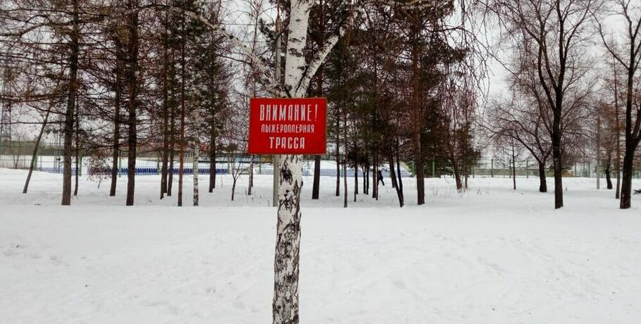 В Советском парке, где погибла женщина, готовы оплатить её похороны