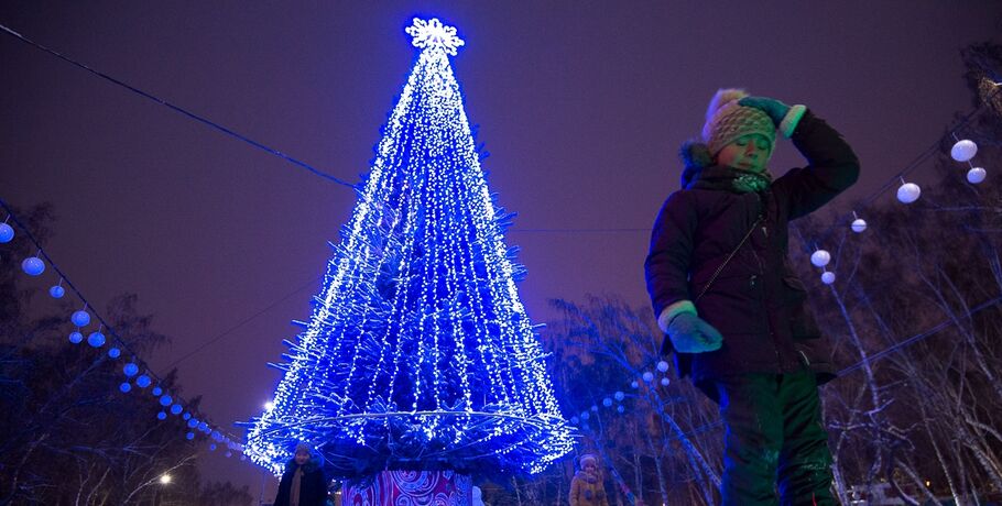 Россиян призвали в новогодние праздники поменьше контактировать с окружающими