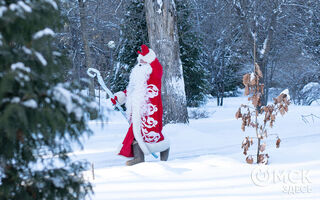 Резиденция Деда Мороза открывается в омском дендросаду имени Гензе Резиденция Деда Мороза открывается в омском дендросаду имени Гензе