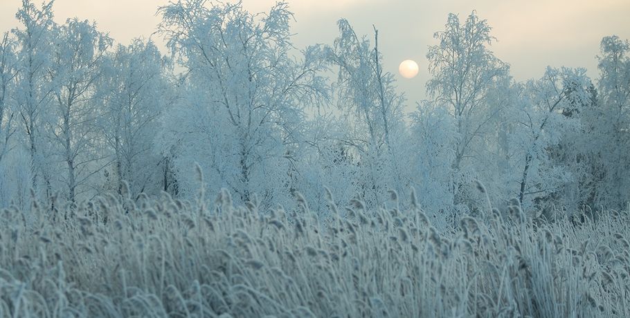 Старый Новый год в Омске будет снежным и морозным