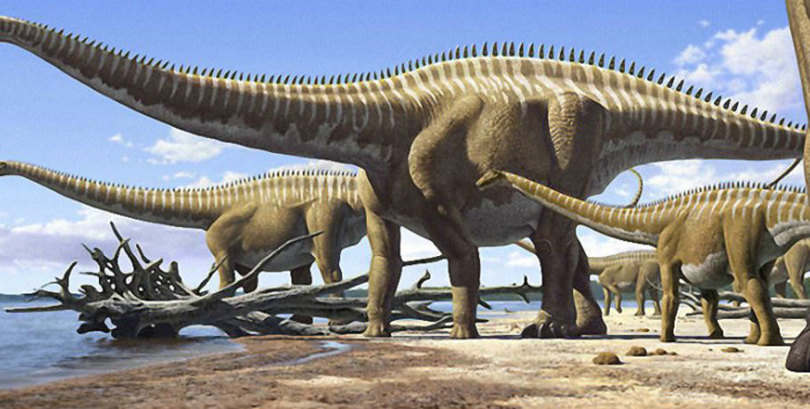 Археологи нашли кости самого крупного динозавра