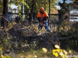 Спасибо, мы сыты! Омичи протестуют против строительства фастфуда на месте сквера