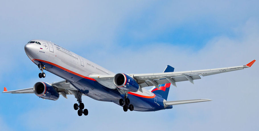 Самолёт с погибшей сербкой экстренно приземлился в Новосибирске  