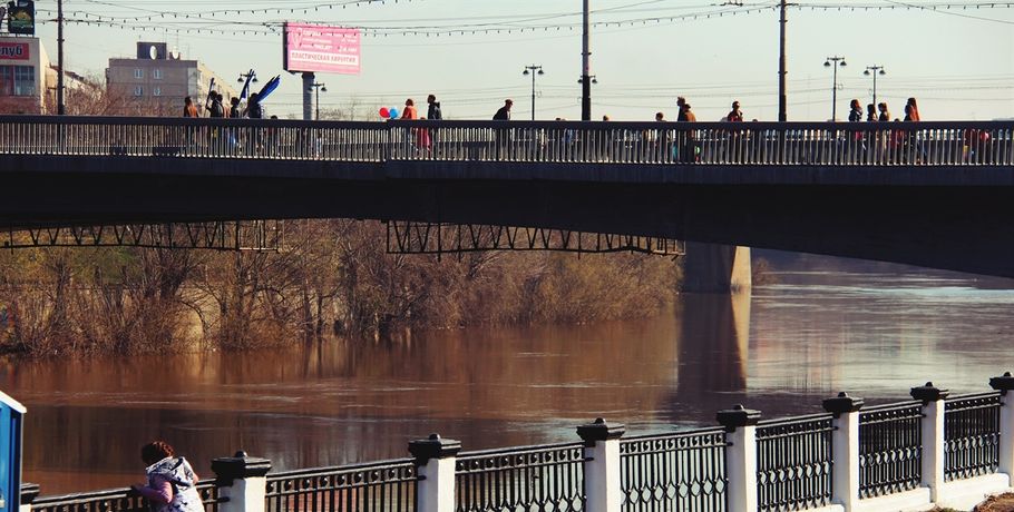 В Омске Юбилейный мост готовят к ремонту
