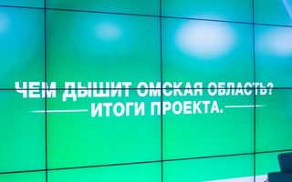 Экологическую обстановку в Омске оценили на "удовлетворительно"