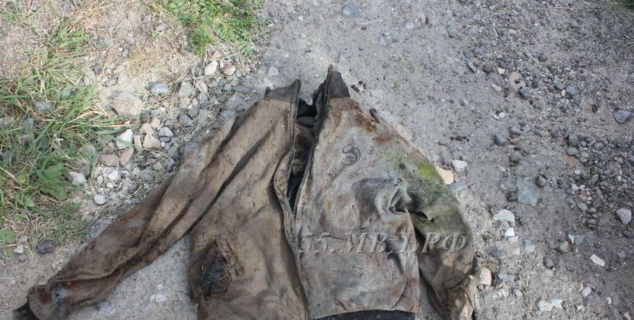 В Тевризском районе нашли скелет человека