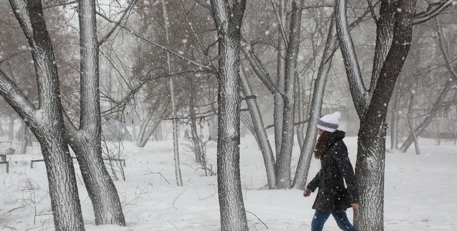 В Омске из-за мороза детей не пускают в школы