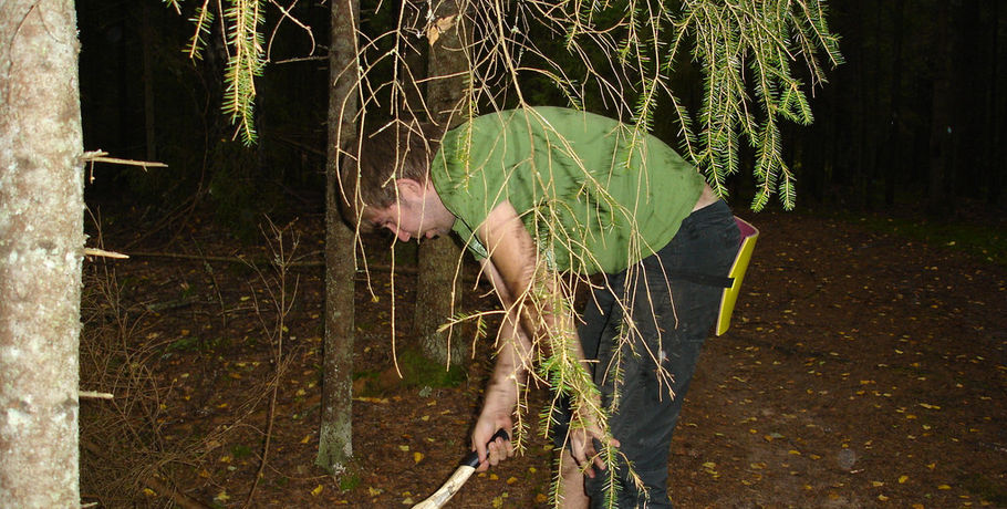 В Омской области лесорубу сняло скальп деревом