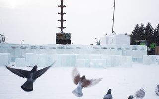 В Омске начали возводить ледяной Кремль