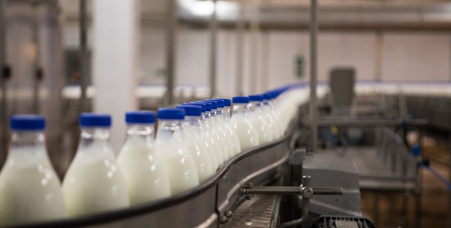 Больше десятка омских предприятий в этом году попались на фальсификате молочной продукции
