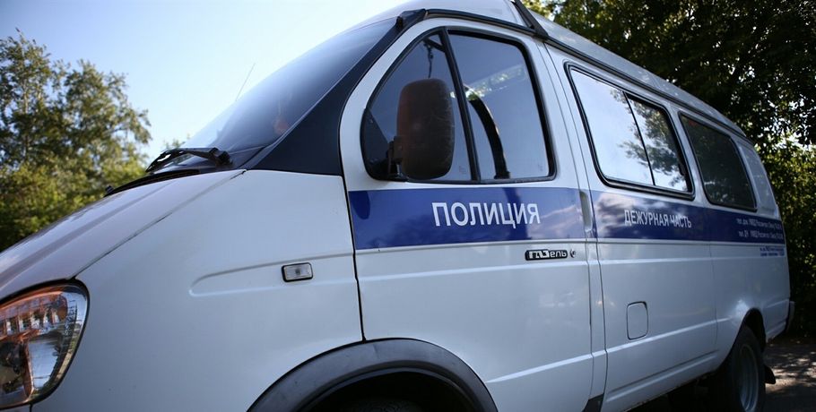 В Омске студенты задержали автомобильного вора