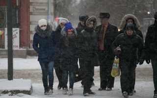 Заболеваемость гриппом и ОРВИ в Омской области превысила эпидемический порог