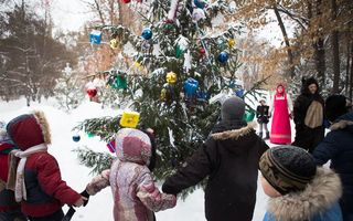 Более двух тысяч детей побывали в омской резиденции Деда Мороза