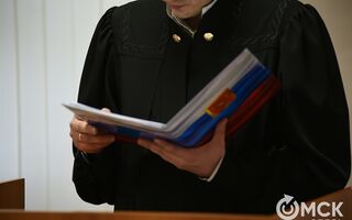 В Омске начнётся суд над бухгалтером "подпольных банкиров"