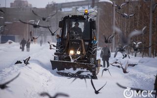 Омские коммунальщики вынужденно складируют снег на обочинах вместо его вывоза