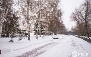 К концу марта в Омской области потеплеет до +11 градусов