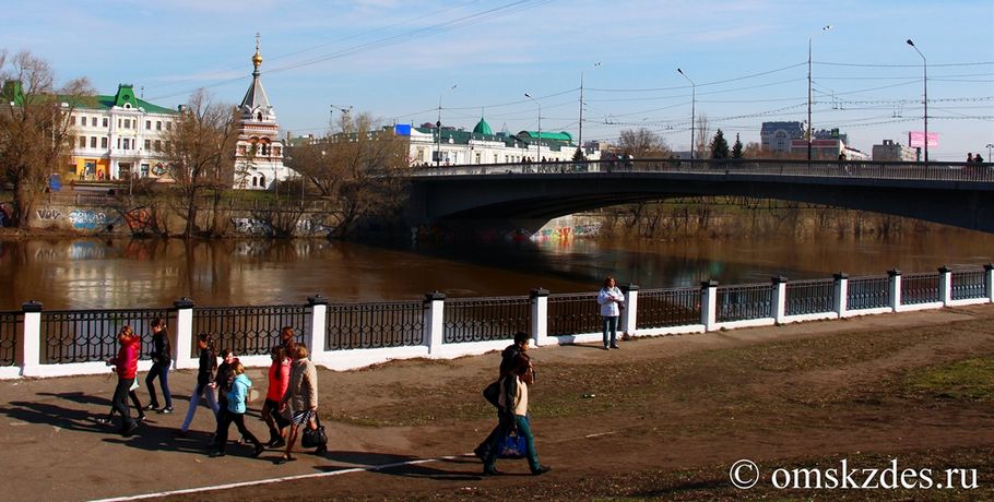 Ремонт Юбилейного моста в Омске может начаться в этом году