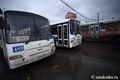 Перевозчики расплатились за двадцать новых автобусов для Омска