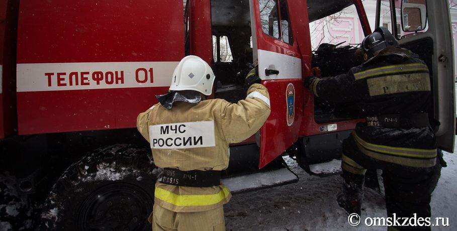 На Первомай в Омской области тушили сразу 12 лесных пожаров