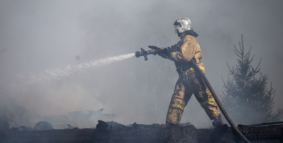 В Омской области 99 процентов лесных пожаров тушат за первые сутки