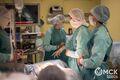 Омские разработчики представили хирургическую салфетку, принимающую форму раны