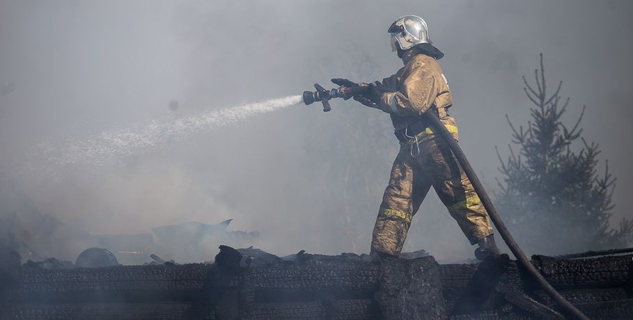 Омским грибникам напомнили о правилах пожарной безопасности