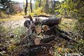 Шторм завалил деревьями трассу из Омска в Муромцево и залил ливнем Седельниково