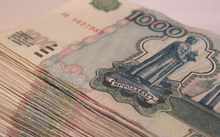 Взявшая кредит жительница Омской области осталась без денег и с долгом