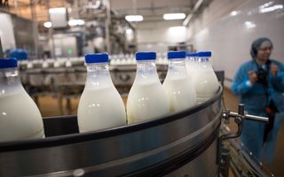 Депутаты предложили добавить к питанию омских школьников бесплатное молоко