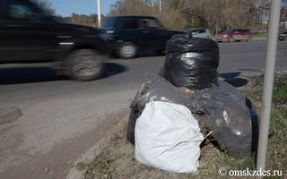 В Омской области штрафы за мусор повысят до 200 тысяч рублей