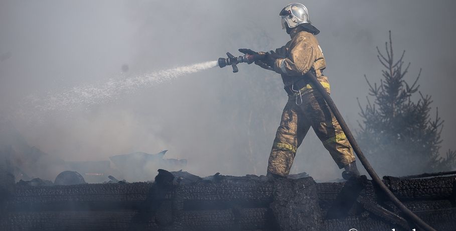 В Омской области инженер по охране труда устроил лесной пожар, сжигая солому
