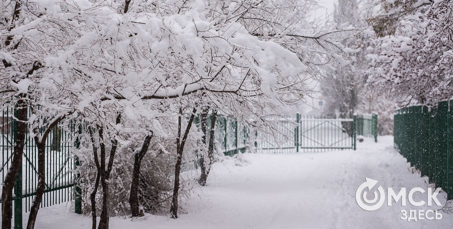 В Омске установится теплая погода со снегом и туманами