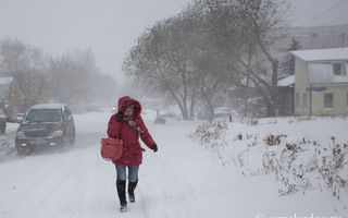 Ближайшие ночи в Омской области станут морозными
