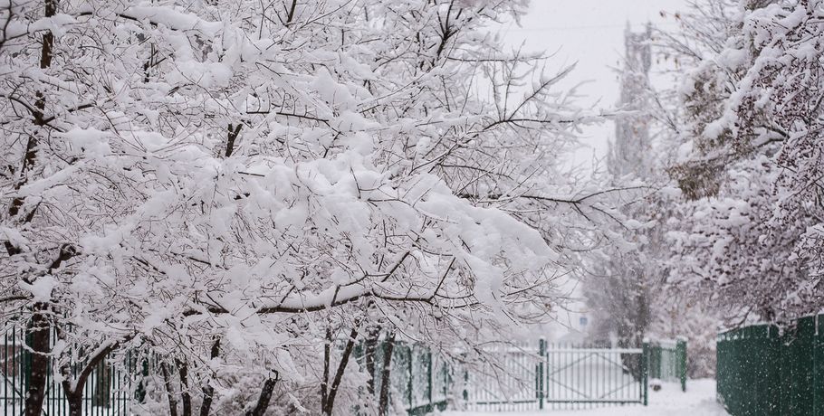 Омск накрыли ливневые снегопады