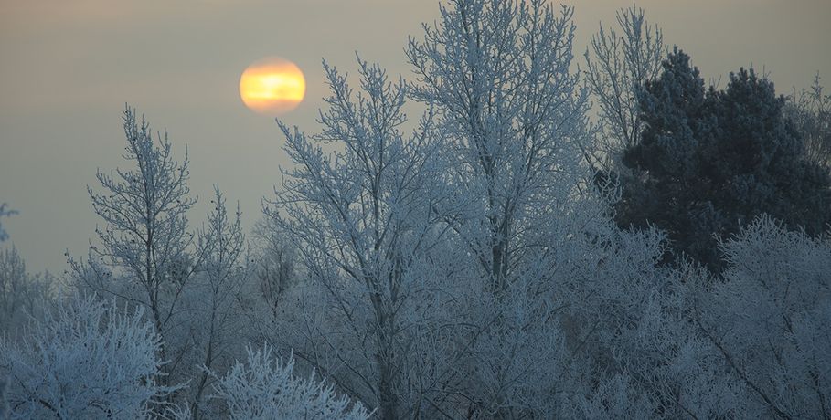 Первые серьезные морозы до -19 градусов придут в Омск к выходным