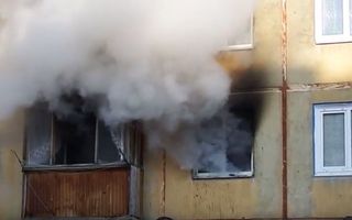 Пенсионерка с сыном погибли при пожаре на окраине Омска