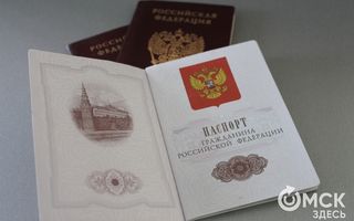 Экс-начальник паспортно-визового сервиса получил условный срок за мошенничество