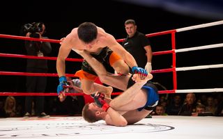 В Омске прошел международный турнир Fight Nights Global 81