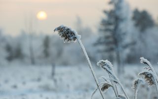 От -2 до -30 градусов: февраль в Омске будет с резкими перепадами 