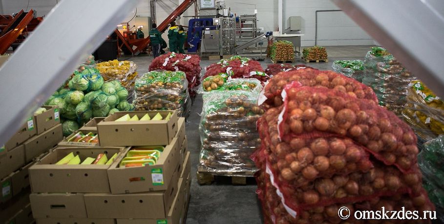 Омские аграрии произвели продукции почти на 100 миллиардов рублей