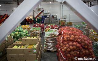 Омские аграрии произвели продукции почти на 100 миллиардов рублей