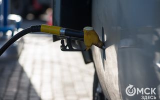 За год бензин в Омске подорожал почти на три рубля