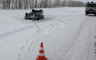 В Омской области пьяный водитель за рулем ВАЗа вылетел в кювет