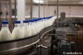 Омский Роспотребнадзор заподозрил крупнейшего производителя молочных продуктов в фальсификате