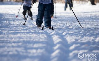 Департамент спорта в Омске возглавил лыжник