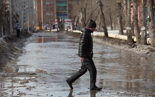 Малые озера Омска: измеряем городские лужи