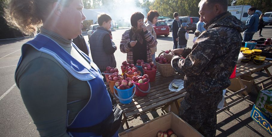 Фермерам из Омского района предлагают поставить свои павильоны на рынках