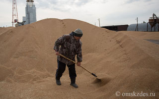 Омской области увеличили льготы на перевозку зерна